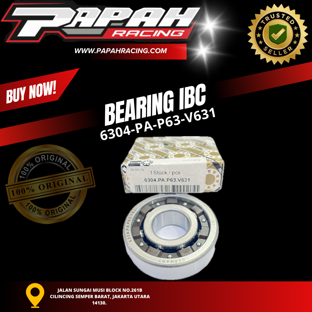 BEARING IBC 6304-PA-P63-V631